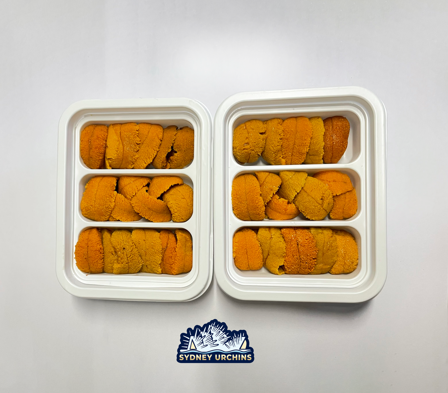 White Sea Urchin Uni - 3 Pocket 50g