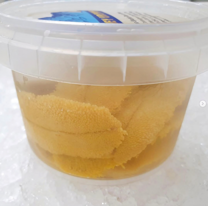 Sea Urchin Kina - 100g